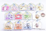 MINITEEN Package Charm & Gummy [All 13 type set (Full Complete)]