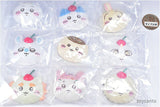 Chiikawa Whip Mag with Boro Cookies [All 9 type set(Full Complete)]