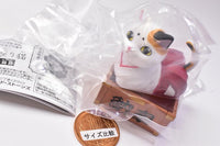 Animal attraction box sitting cat second box [2.Saisenbako sitting]