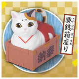 Animal attraction box sitting cat second box [2.Saisenbako sitting]