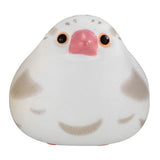 Hugcot Bird of cord Part.8 [2.Pied java sparrow]