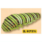 Kimokawa! Punyupunyu Green caterpillar Mascot Returns [2.Yellow swallowtail]