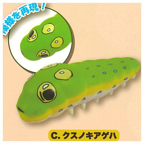 Kimokawa! Punyupunyu Green caterpillar Mascot Returns [3.Camphor tree swallowtail]