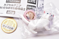 Capsule ANIA chiisanaosewa animal hen Part.2 [1.Munchkin (white)]