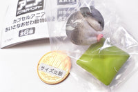 Capsule ANIA chiisanaosewa animal hen Part.2 [6.Djungarian hamster]