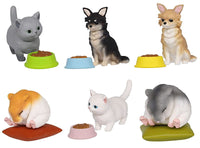 Capsule ANIA chiisanaosewa animal hen Part.2 [All 6 type set(Full Complete)]