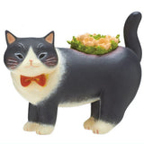 Art Univ. Techni Colour potteri nyanko planter figure collection [1.Black]