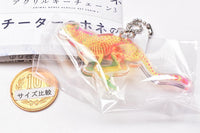 Animal Bone Acrylic Keychain Part.3 [4.Cheetah]