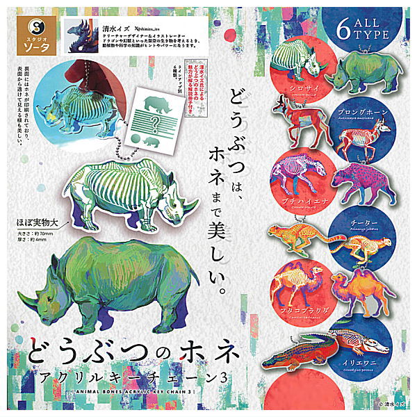 Animal Bone Acrylic Keychain Part.3 [All 6 type set(Full Complete)]