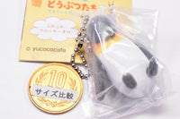 Tsumanda Animal Part.3 Mascot ball chain [1.Penguin]