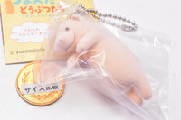 Tsumanda Animal Part.3 Mascot ball chain [5.Hippopotamus]