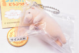 Tsumanda Animal Part.3 Mascot ball chain [5.Hippopotamus]