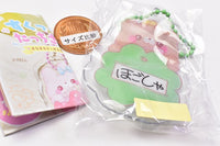 Sukuttotacchisan Name key chain [4.Otter?]
