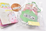 Sukuttotacchisan Name key chain [4.Otter?]