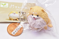 Osuwari-nu Osuwari x inu.Yell Capsule Toy [1.Pome-nu]