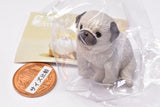 Osuwari-nu Osuwari x inu.Yell Capsule Toy [2.Pug-nu]