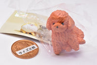 Osuwari-nu Osuwari x inu.Yell Capsule Toy [3.Toy poo-nu]