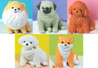 Osuwari-nu Osuwari x inu.Yell Capsule Toy [All 5 type set(Full Complete)]