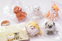 Osuwari-nu Osuwari x inu.Yell Capsule Toy [All 5 type set(Full Complete)]