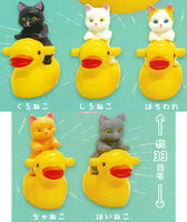 Potty cat miniature figure collection [All 5 type set(Full Complete)]