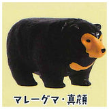 Bear pyramid [1.Sun bear magao]