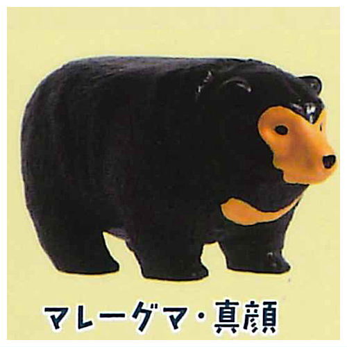 Bear pyramid [1.Sun bear magao]
