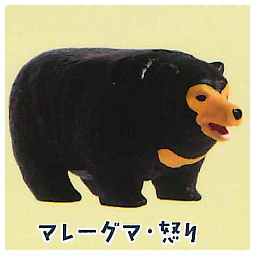 Bear pyramid [2.Sun bear anger]
