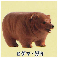 Bear pyramid [4.Brown bear anger]