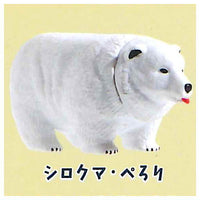 Bear pyramid [5.Polar bear perori]