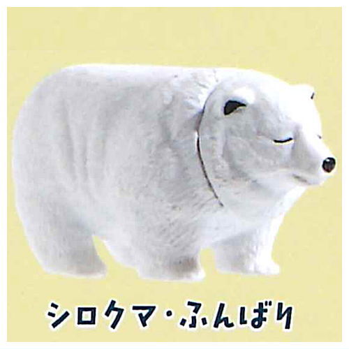 Bear pyramid [6.Polar bear funbari]