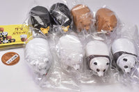 Bear pyramid [All 8 type set(Full Complete)]