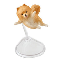 Happy Jump! Animal [1.Pomeranian (brown)]