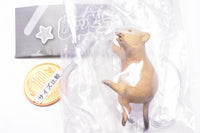 Happy Jump! Animal [2.Quokka]
