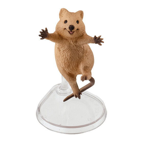 Happy Jump! Animal [2.Quokka]