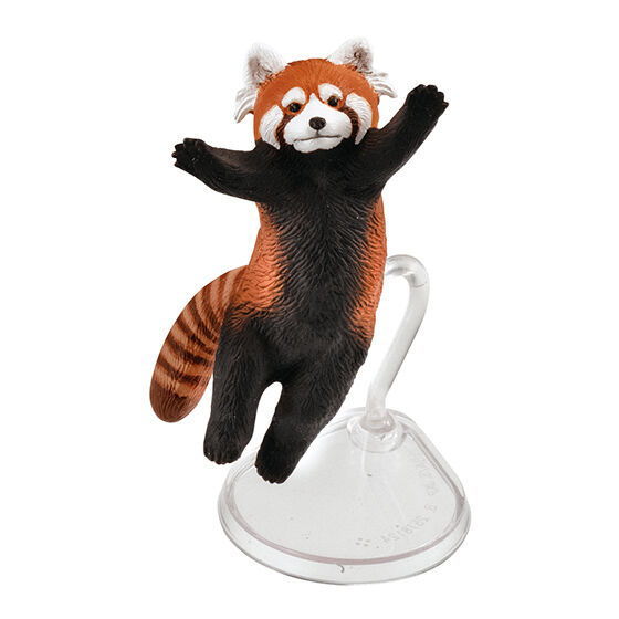 Happy Jump! Animal [3.Red panda]