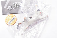 Happy Jump! Animal [4.Cat (mike)]