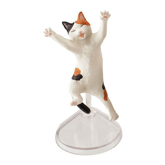 Happy Jump! Animal [4.Cat (mike)]