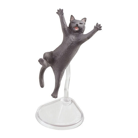 Happy Jump! Animal [6.Cat (gray)]