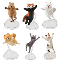 Happy Jump! Animal [All 6 type set(Full Complete)]