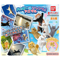 Happy Jump! Animal [All 6 type set(Full Complete)]