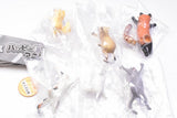 Happy Jump! Animal [All 6 type set(Full Complete)]