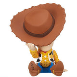 Toy Story Hide & Seek Figure [1.Woody?]