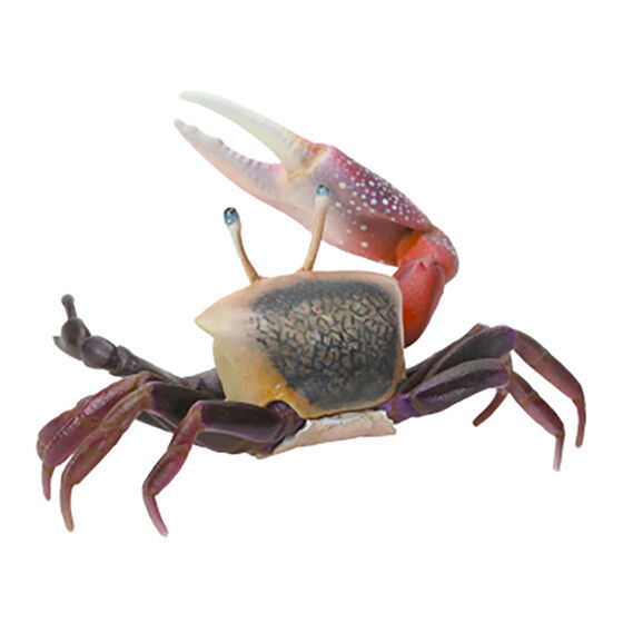 Artificial Fiddler Crab 1-1/2 Brown/Orange 10 Pack [AAFCS01