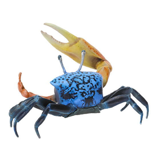 mini collection Crustacea 01 [3.Tetragonal Fiddler Crab]