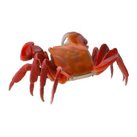 mini collection Crustacea 01 [5.Red claws crab (red)]