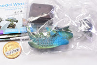 Nature Techni colour Ocean I Special Edition [5.Humphead wrasse]