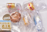 Otonanotemiyage miniature collection Omiyayougashiten [All 5 type set(Full Complete)]