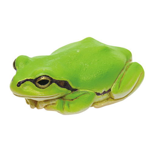 Frog Ball Chain Nature Techni colour MONO PLUS Tree Frog Magnet & Ball Chain [1.Green ...