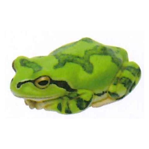 Frog Ball Chain Nature Techni colour MONO PLUS Tree Frog Magnet & Ball Chain [2.Dark g ...
