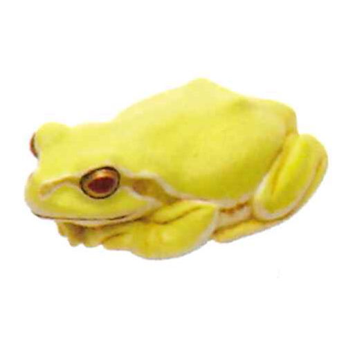 Nature Techni colour MONO PLUS Tree Frog Magnet & Ball Chain [8.Albino (magnet)]